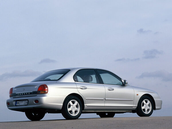 Комплект арок Hyundai Sonata 4 (1998-2001)