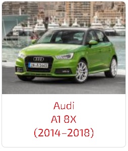 Арки A1 8X (2014–2018)
