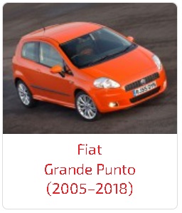 Пороги Grande Punto (2005–2018)
