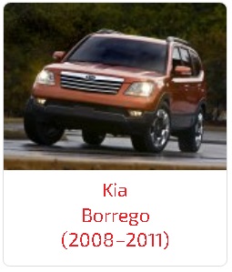 Пороги Borrego (2008–2011)