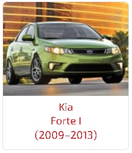 Пороги Forte I (2009–2013)