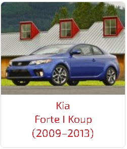 Пороги Forte I Koup (2009–2013)