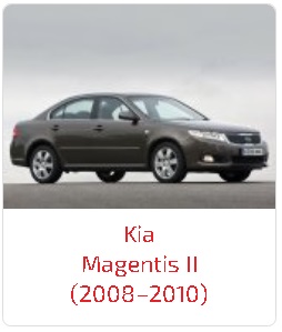 Пороги Magentis II (2008–2010)